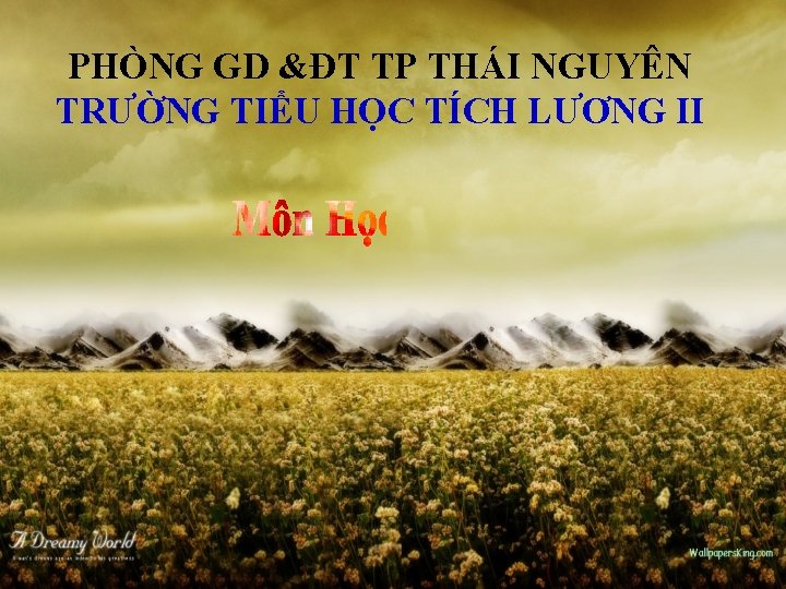 PHÒNG GD &ĐT TP THÁI NGUYÊN TRƯỜNG TIỂU HỌC TÍCH LƯƠNG II 