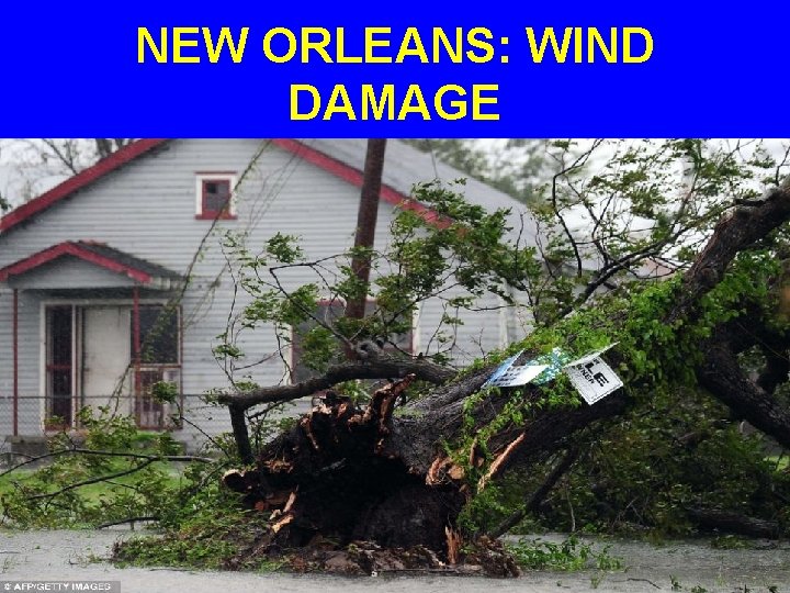 NEW ORLEANS: WIND DAMAGE 