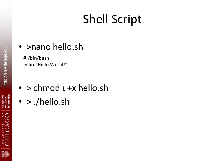http: //cri. uchicago. edu Shell Script • >nano hello. sh #!/bin/bash echo "Hello World!“ http: //cri. uchicago. edu Shell Script • >nano hello. sh #!/bin/bash echo "Hello World!“