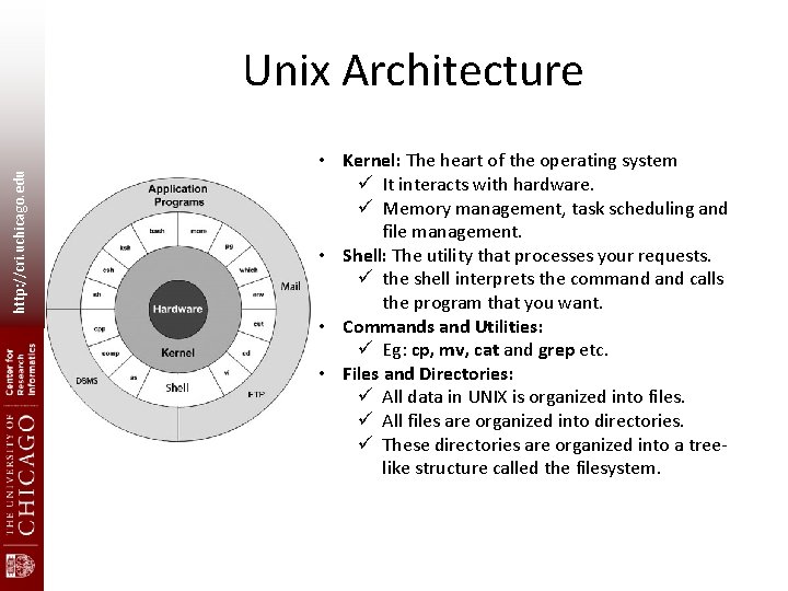 http: //cri. uchicago. edu Unix Architecture • • Kernel: The heart of the operating http: //cri. uchicago. edu Unix Architecture • • Kernel: The heart of the operating