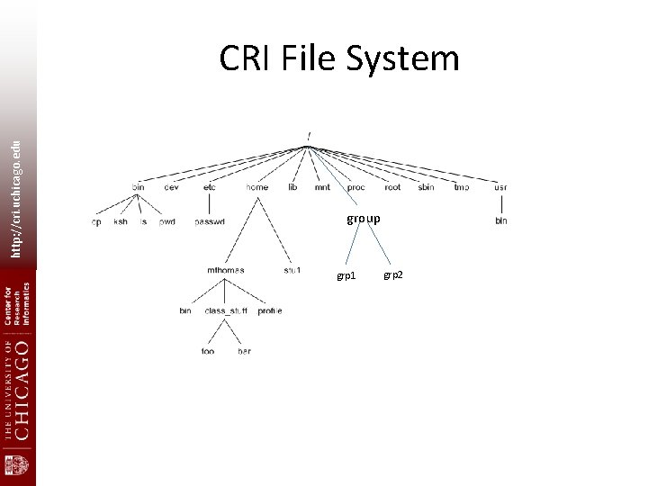 http: //cri. uchicago. edu CRI File System group grp 1 grp 2 http: //cri. uchicago. edu CRI File System group grp 1 grp 2