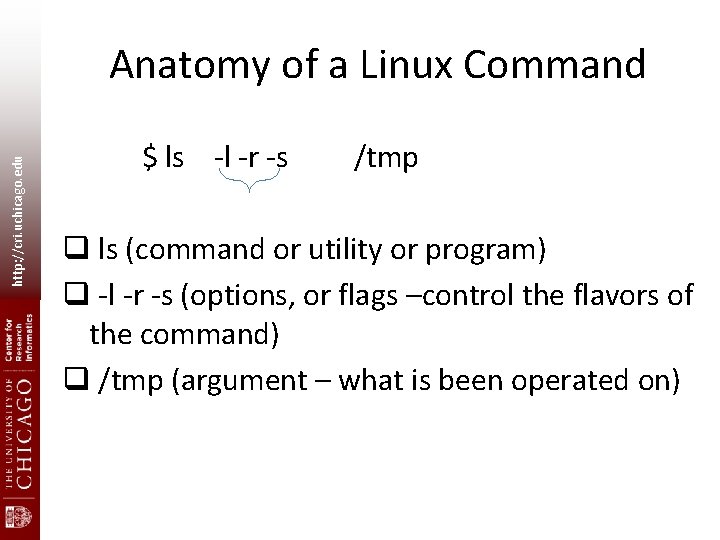 http: //cri. uchicago. edu Anatomy of a Linux Command $ ls -l -r -s http: //cri. uchicago. edu Anatomy of a Linux Command $ ls -l -r -s