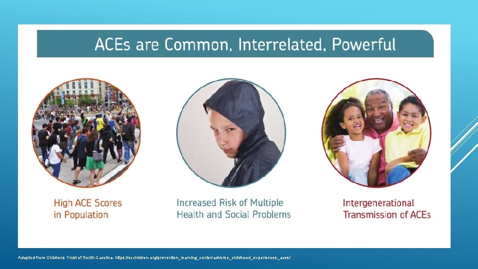 Adapted from Childrens Trust of South Carolina. https: //scchildren. org/prevention_learning_center/adverse_childhood_experiences_aces/ 
