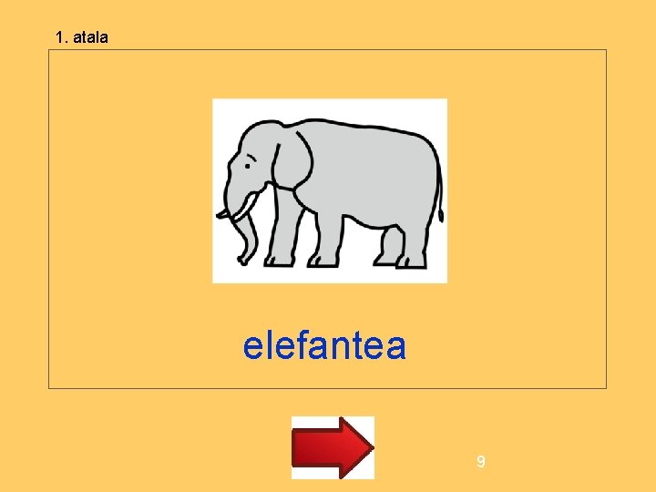 1. atala elefantea 9 