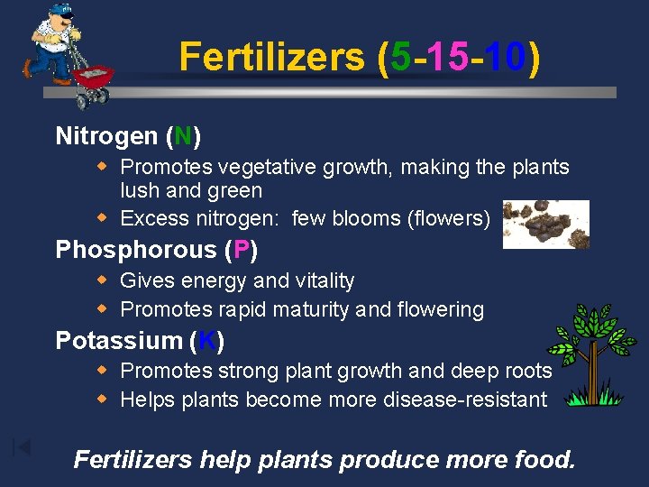Fertilizers (5 -15 -10) Nitrogen (N) w Promotes vegetative growth, making the plants lush