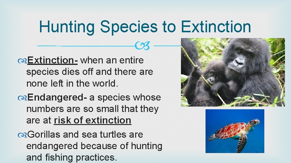 Hunting Species to Extinction- when an entire species dies off and there are none