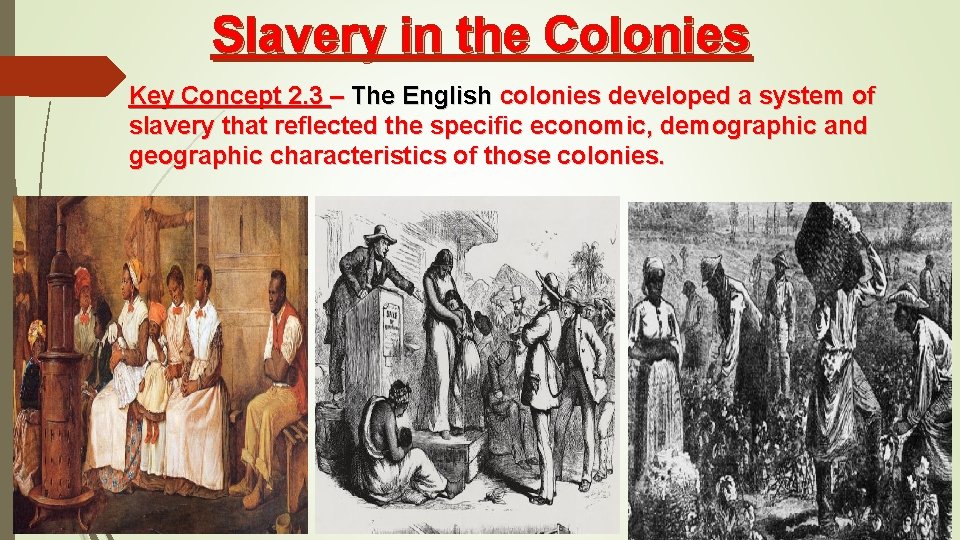 Slavery in the Colonies Key Concept 2. 3 – The English colonies developed a