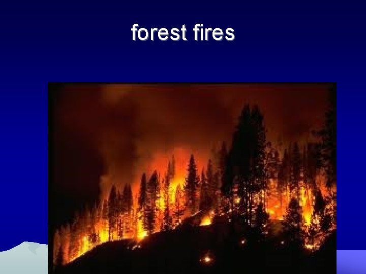 forest fires 