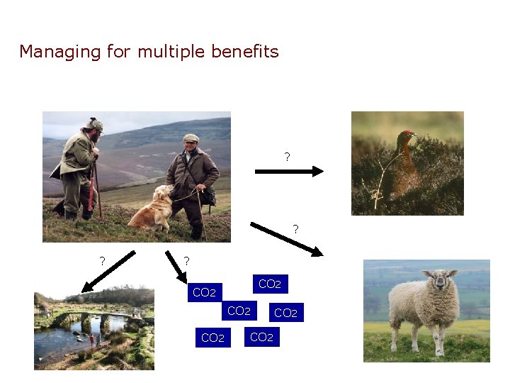 Managing for multiple benefits ? ? CO 2 CO 2 