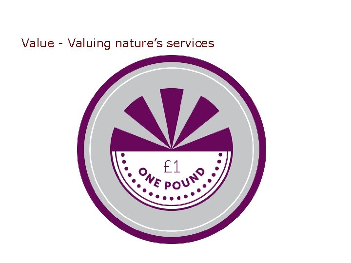 Value - Valuing nature’s services 