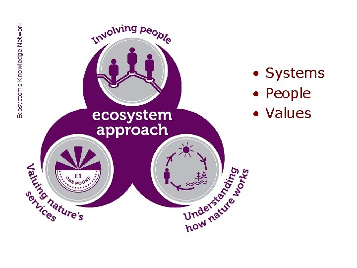 Ecosystems Knowledge Network • Systems • People • Values 