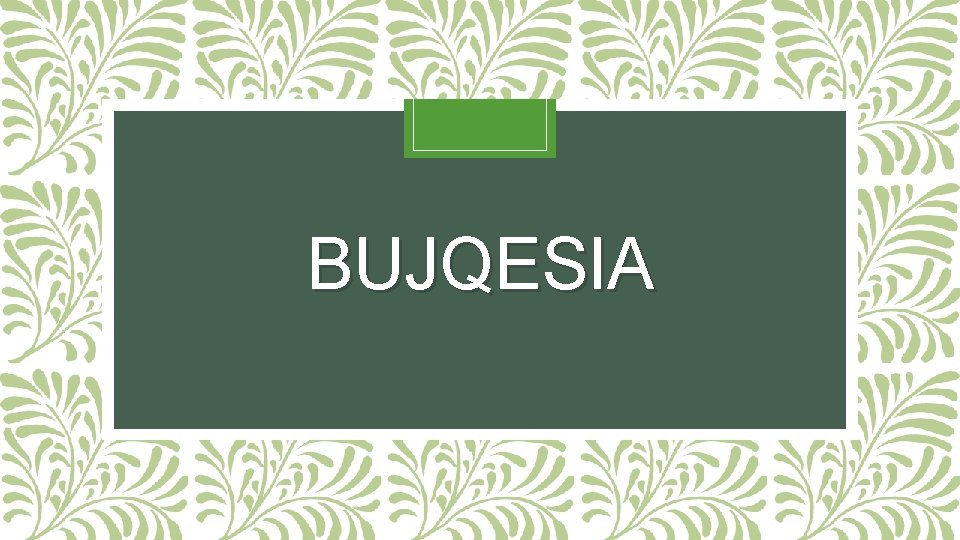 BUJQESIA 