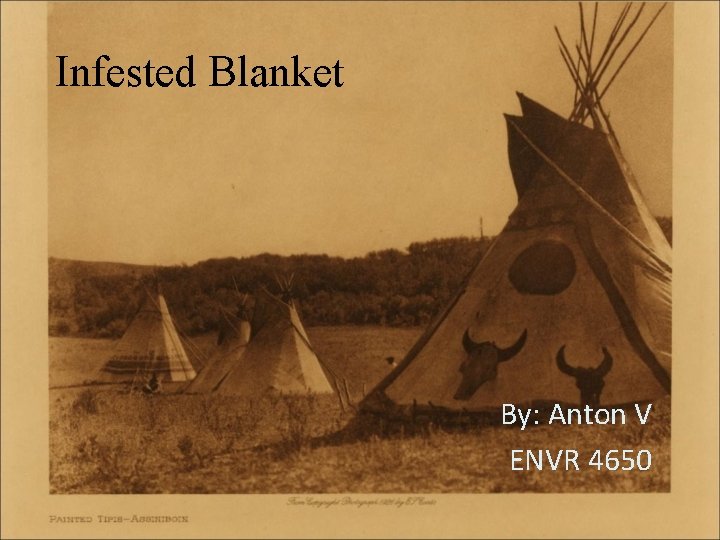 Infested Blanket By: Anton V ENVR 4650 