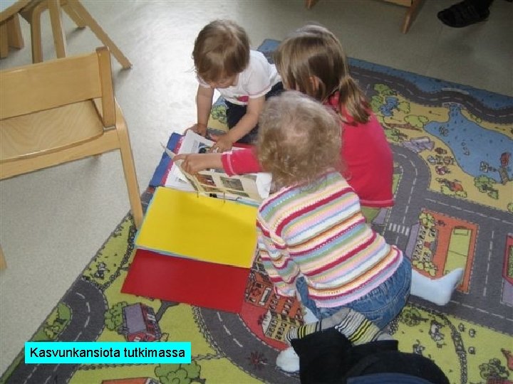 Kasvunkansiota tutkimassa 