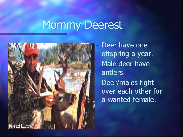 Mommy Deerest Deer have one offspring a year. « Male deer have antlers. «