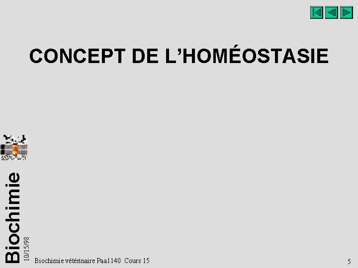 10/15/98 Biochimie CONCEPT DE L’HOMÉOSTASIE Biochimie vétérinaire Paa 1140 Cours 15 5 