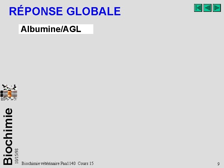 RÉPONSE GLOBALE 10/15/98 Biochimie Albumine/AGL Biochimie vétérinaire Paa 1140 Cours 15 9 