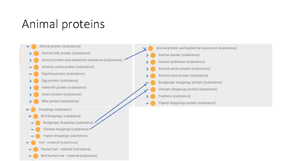 Animal proteins 