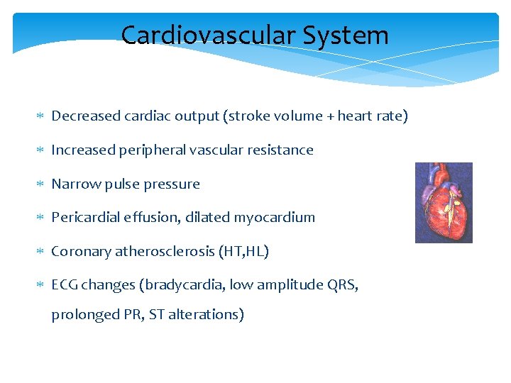 Cardiovascular System Decreased cardiac output (stroke volume + heart rate) Increased peripheral vascular resistance