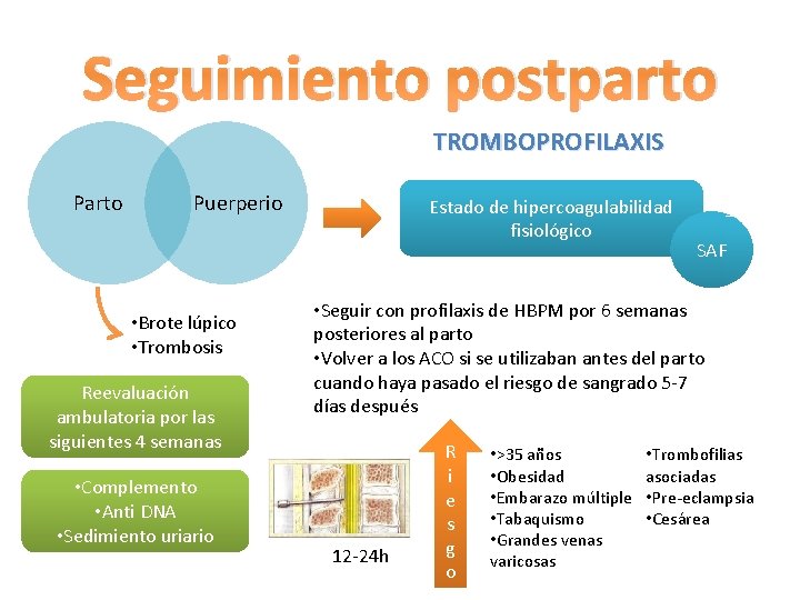 Seguimiento postparto TROMBOPROFILAXIS Parto Puerperio • Brote lúpico • Trombosis Reevaluación ambulatoria por las