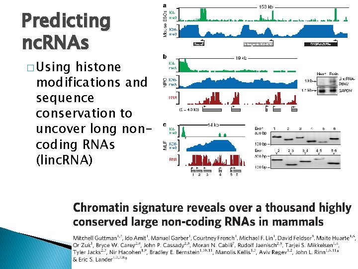 Predicting nc. RNAs � Using histone modifications and sequence conservation to uncover long noncoding