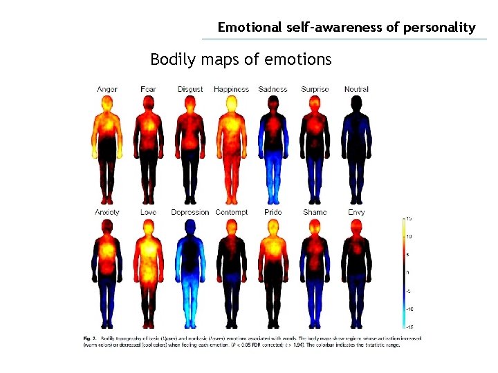 Emotional self-awareness of personality Bodily maps of emotions 