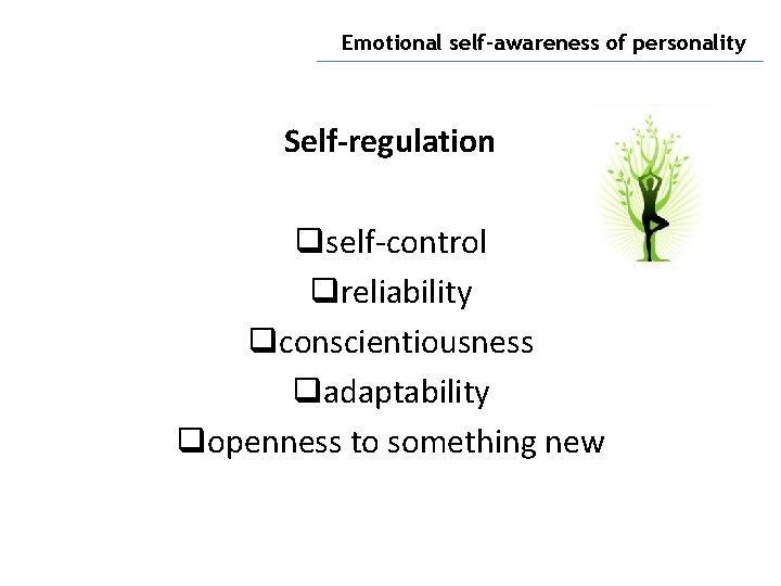 Emotional self-awareness of personality Self-regulation qself-control qreliability qconscientiousness qadaptability qopenness to something new 