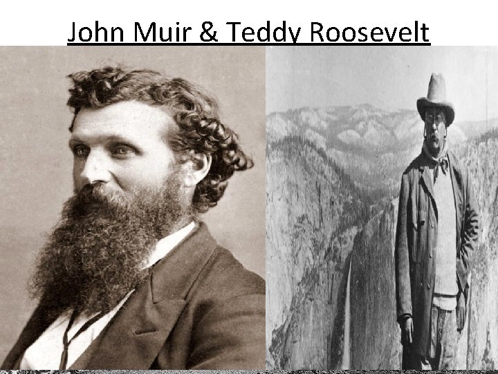 John Muir & Teddy Roosevelt Yosemite National Park 