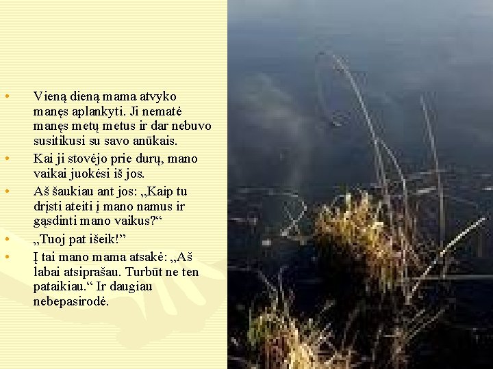  • • • Vieną dieną mama atvyko manęs aplankyti. Ji nematė manęs metų