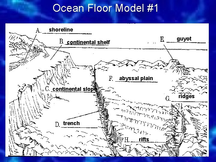 Ocean Floor Model #1 shoreline guyot continental shelf abyssal plain continental slope ridges trench