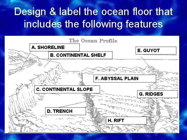Design & label the ocean floor that includes the following features A. SHORELINE E.