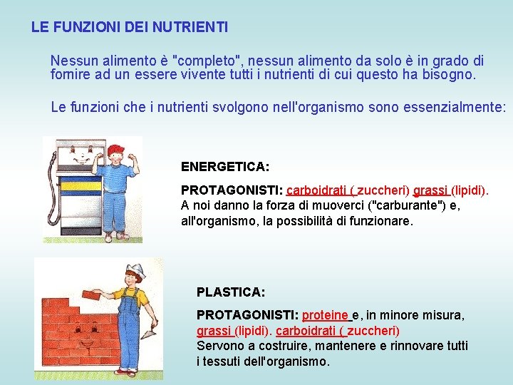 LE FUNZIONI DEI NUTRIENTI Nessun alimento è "completo", nessun alimento da solo è in