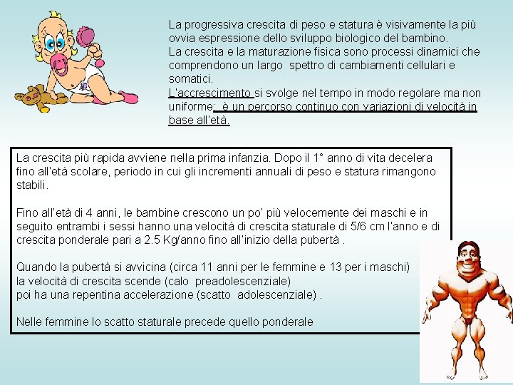La progressiva crescita di peso e statura è visivamente la più ovvia espressione dello