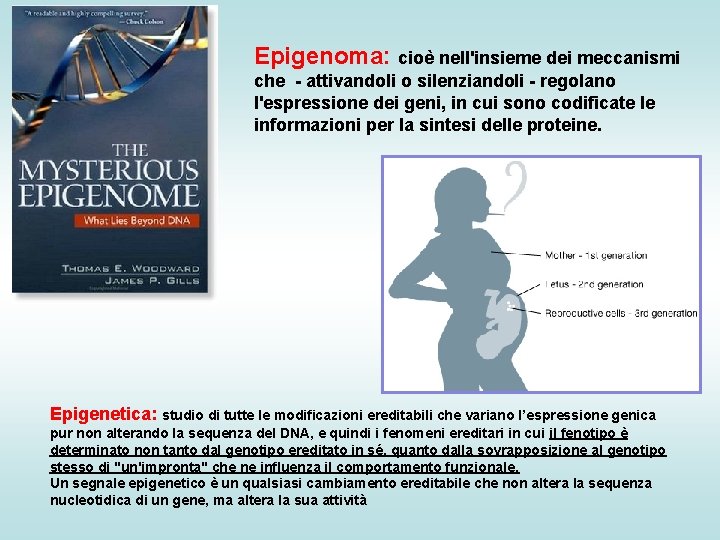 Epigenoma: cioè nell'insieme dei meccanismi che - attivandoli o silenziandoli - regolano l'espressione dei