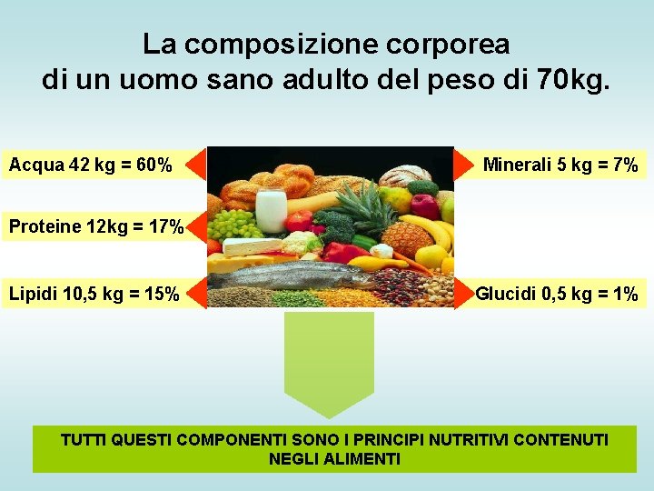 La composizione corporea di un uomo sano adulto del peso di 70 kg. Acqua