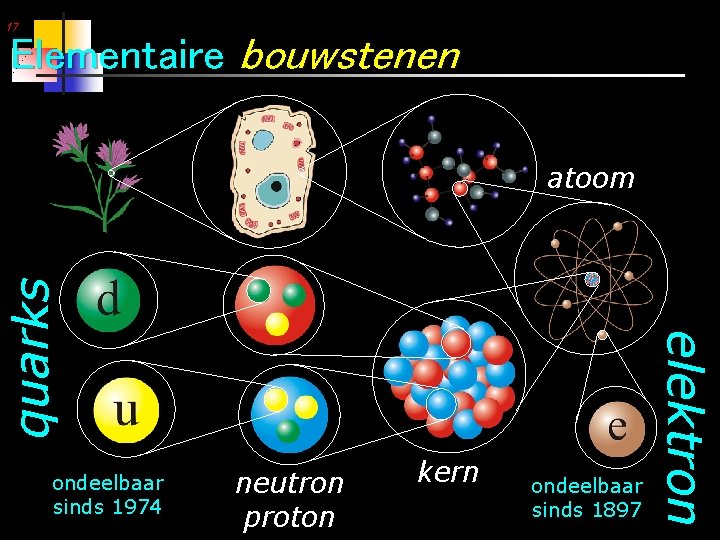 17 Elementaire bouwstenen ondeelbaar sinds 1974 neutron proton kern ondeelbaar sinds 1897 elektron quarks