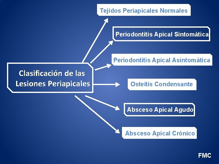 Tejidos Periapicales Normales Periodontitis Apical Sintomática Periodontitis Apical Asintomática Clasificación de las Lesiones Periapicales