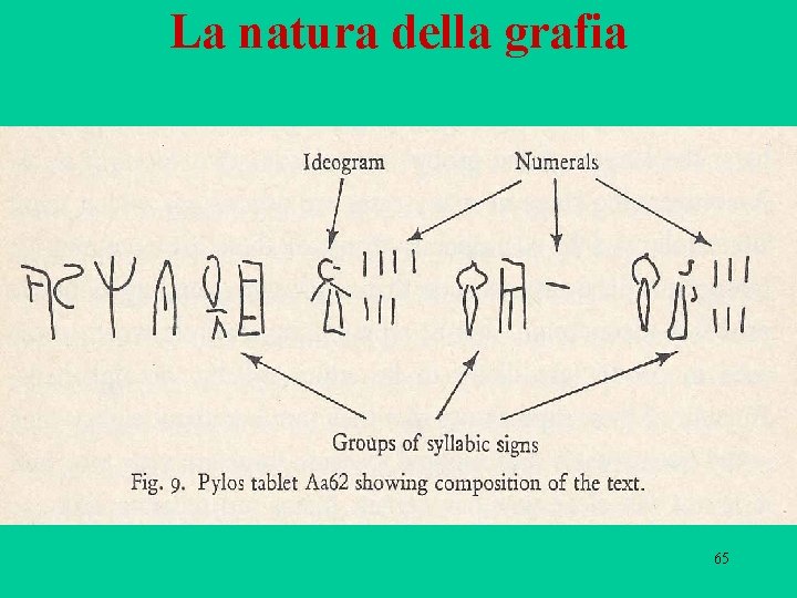 La natura della grafia 65 