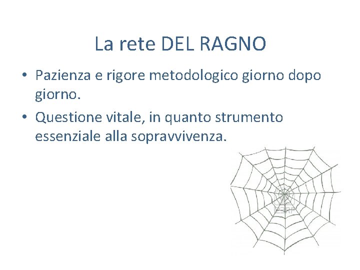 La rete DEL RAGNO • Pazienza e rigore metodologico giorno dopo giorno. • Questione