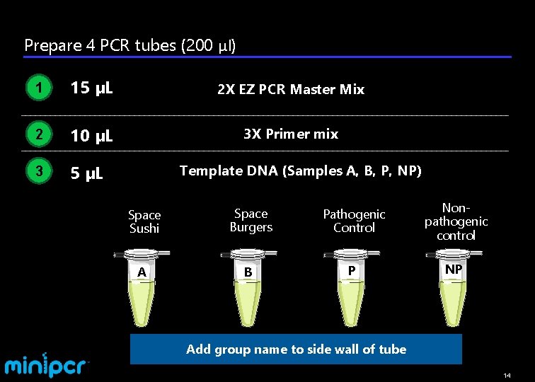 Science for everyone everywhere mini PCR Space Food