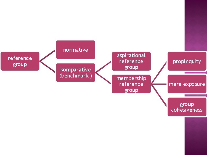 normative reference group komparative (benchmark ) aspirational reference group propinquity membership reference group mere