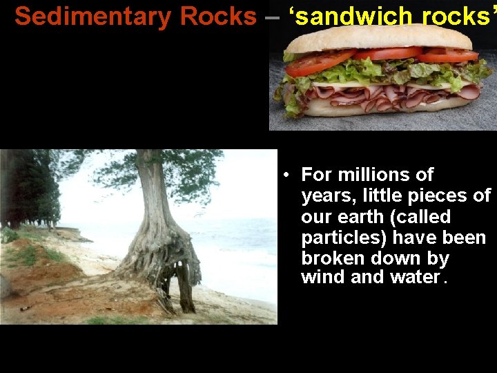 Sedimentary Rocks – ‘sandwich rocks’ • For millions of years, little pieces of our
