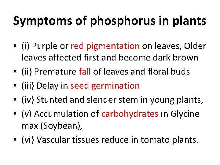 Symptoms of phosphorus in plants • (i) Purple or red pigmentation on leaves, Older