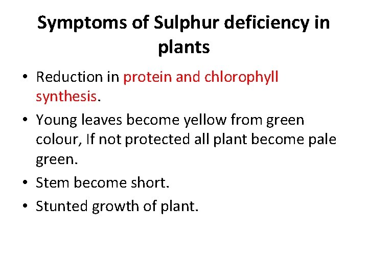 Symptoms of Sulphur deficiency in plants • Reduction in protein and chlorophyll synthesis. •