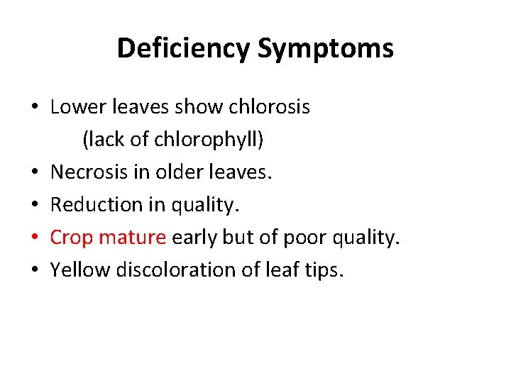 Deficiency Symptoms • Lower leaves show chlorosis (lack of chlorophyll) • Necrosis in older