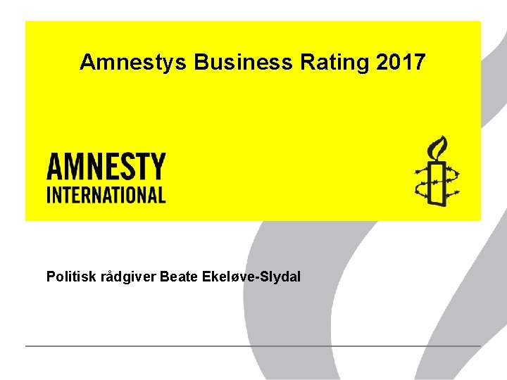 Amnestys Business Rating 2017 Politisk rådgiver Beate Ekeløve-Slydal 