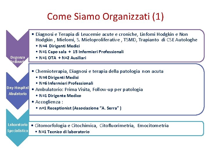 Come Siamo Organizzati (1) • Diagnosi e Terapia di Leucemie acute e croniche, Linfomi