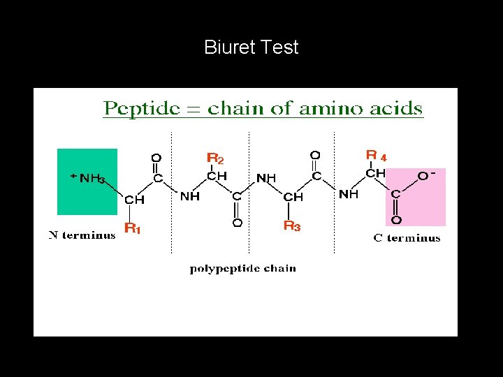 Biuret Test 