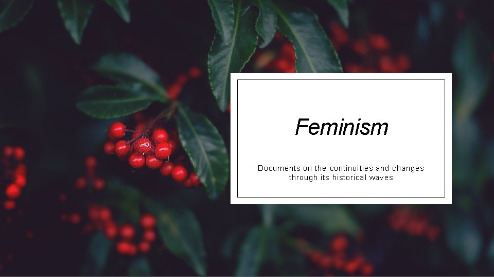 Feminism Documents on the continuities and changes through its historical waves 