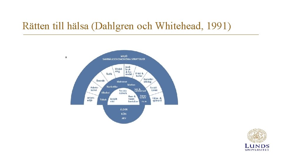 Rätten till hälsa (Dahlgren och Whitehead, 1991) Hälsans bestämningsfaktorer. Bild efter Dahlgren och Whitehead,